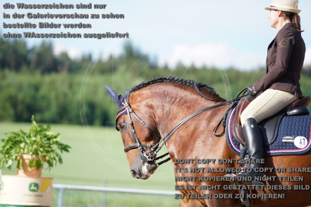 s_K3F05045.JPG